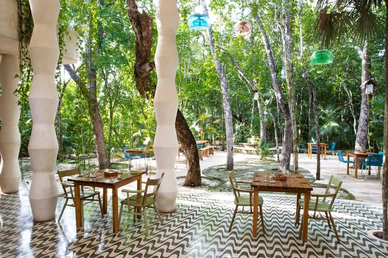 Hotel Holistika تولوم